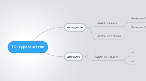 Mind Map: TUI-турагентство