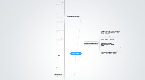 Mind Map: Органы человека