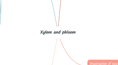 Mind Map: Xylem and phloem