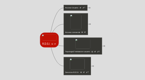 Mind Map: R.D.S.I.