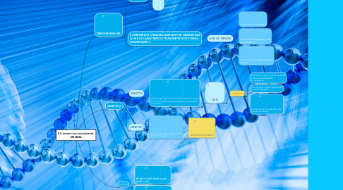 Mind Map: Els éssers vius evolucionen: MENDEL