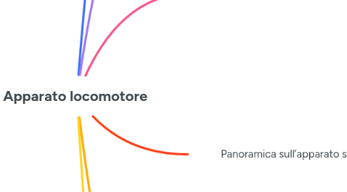 Mind Map: Apparato locomotore
