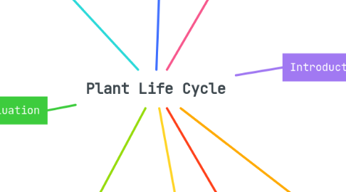 Mind Map: Plant Life Cycle