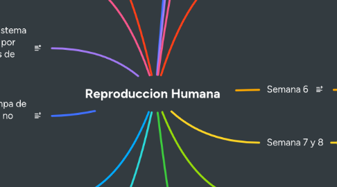 Mind Map: Reproduccion Humana