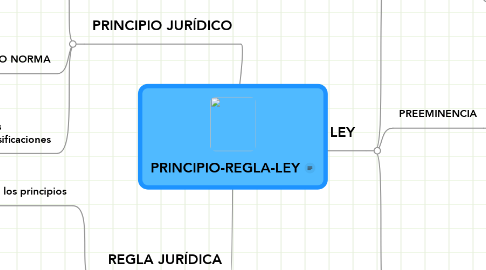 Mind Map: PRINCIPIO-REGLA-LEY