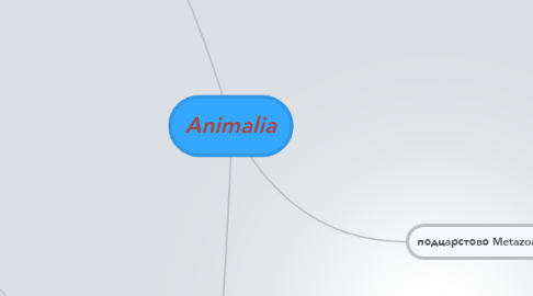 Mind Map: Animalia