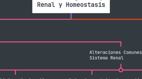 Mind Map: Sistema Digestivo, Renal y Homeostasis