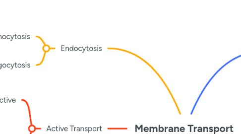 Mind Map: Membrane Transport