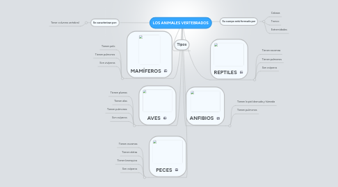 Mind Map: LOS ANIMALES VERTEBRADOS