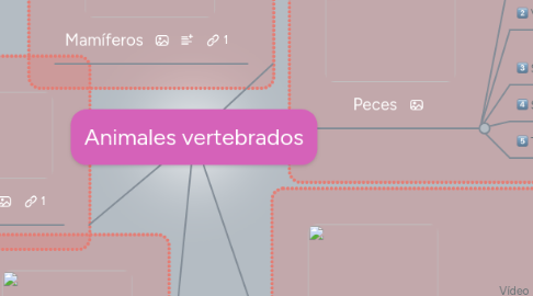 Mind Map: Animales vertebrados