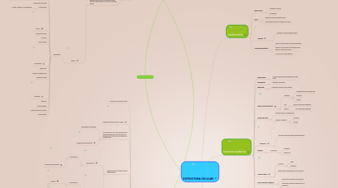 Mind Map: ESTRUCTURA CELULAR