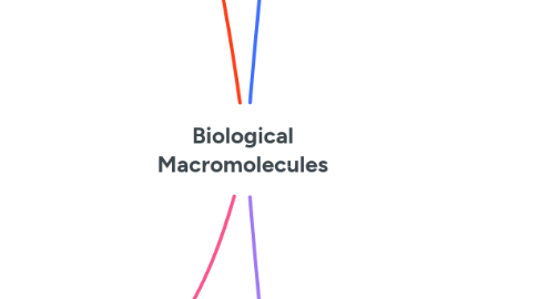 Mind Map: Biological Macromolecules