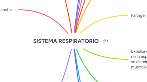 Mind Map: SISTEMA RESPIRATORIO