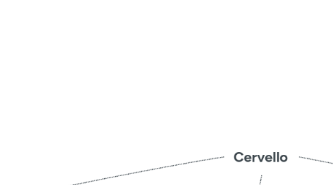 Mind Map: Cervello