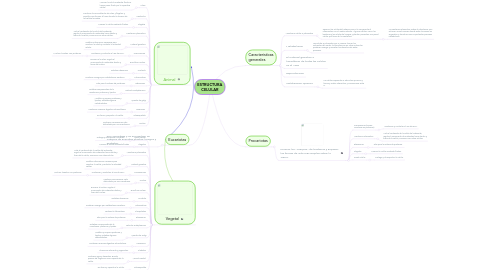 Mind Map: ESTRUCTURA CELULAR