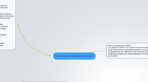 Mind Map: Fotosíntesis y Respiración Celular.