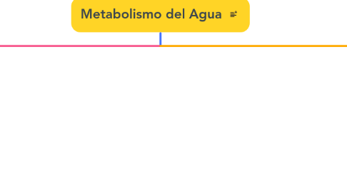 Mind Map: Metabolismo del Agua