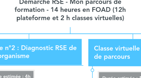 Mind Map: Démarche RSE - Mon parcours de formation - 14 heures en FOAD (12h plateforme et 2 h classes virtuelles)