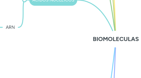 Mind Map: BIOMOLECULAS