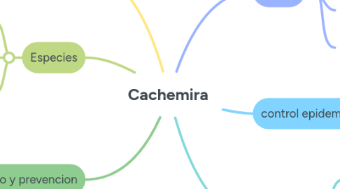 Mind Map: Cachemira