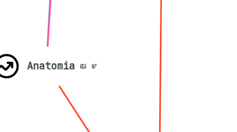 Mind Map: Anatomia