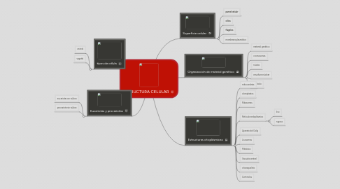 Mind Map: ESTRUCTURA CELULAR