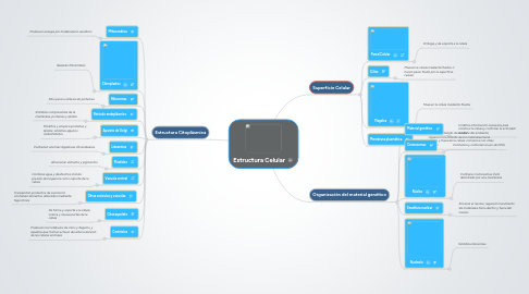 Mind Map: Estructura Celular