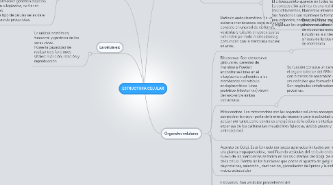 Mind Map: ESTRUCTURA CELULAR