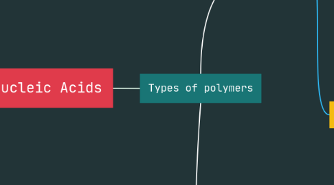 Mind Map: Nucleic Acids