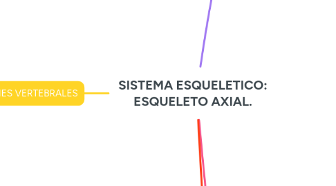 Mind Map: SISTEMA ESQUELETICO: ESQUELETO AXIAL.