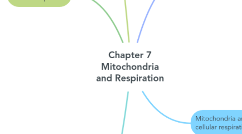 Mind Map: Chapter 7 Mitochondria and Respiration