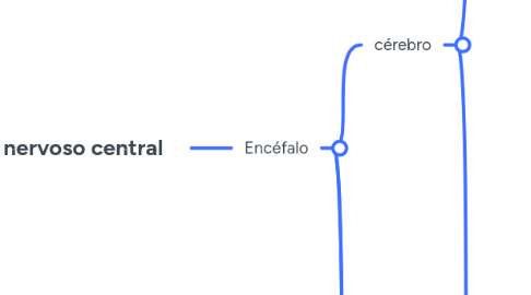 Mind Map: Sistema nervoso central