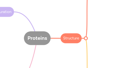 Mind Map: Proteins