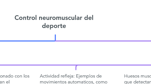Mind Map: Control neuromuscular del deporte