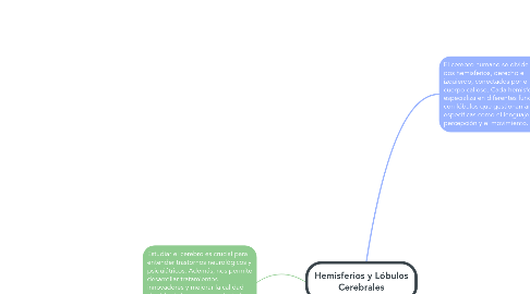 Mind Map: Hemisferios y Lóbulos Cerebrales