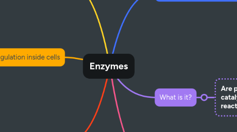 Mind Map: Enzymes