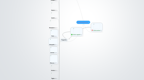 Mind Map: Células Eucariontas