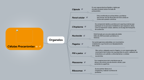 Mind Map: Células Procariontas