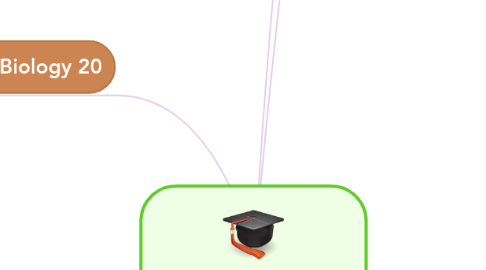 Mind Map: Circulatory System