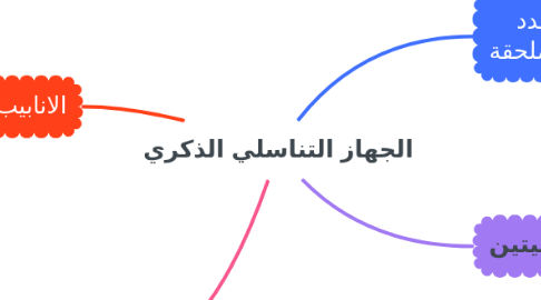 Mind Map: الجهاز التناسلي الذكري