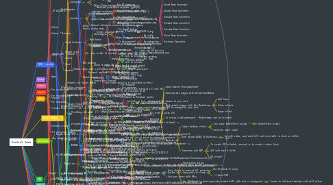 Mind Map: Central Idea