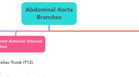 Mind Map: Abdominal Aorta Branches
