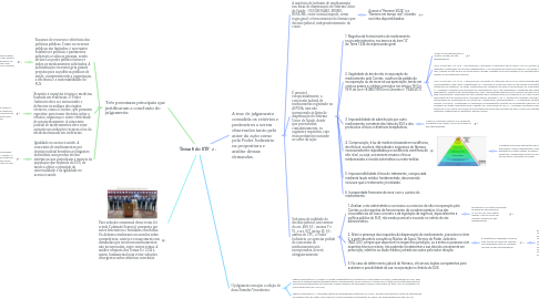 Mind Map: Tema 6 do STF