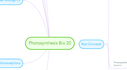 Mind Map: Photosynthesis Bio 20