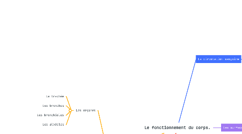 Mind Map: Le fonctionnement du corps.