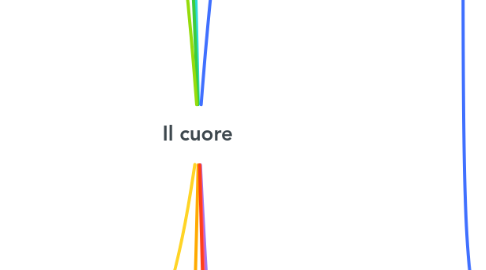 Mind Map: Il cuore