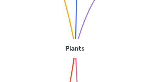 Mind Map: Plants