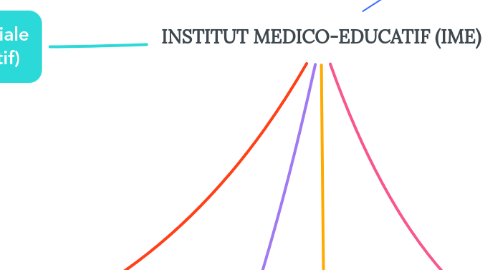 Mind Map: INSTITUT MEDICO-EDUCATIF (IME)