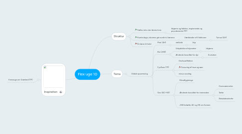 Mind Map: Flex uge 10