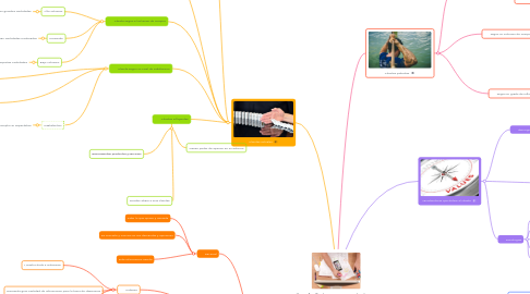 Mind Map: tipos de clientes en una organizacion